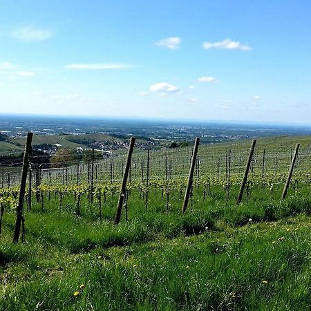 Ferienhof Vordere Alm Oberkirch (Baden) Exterior foto