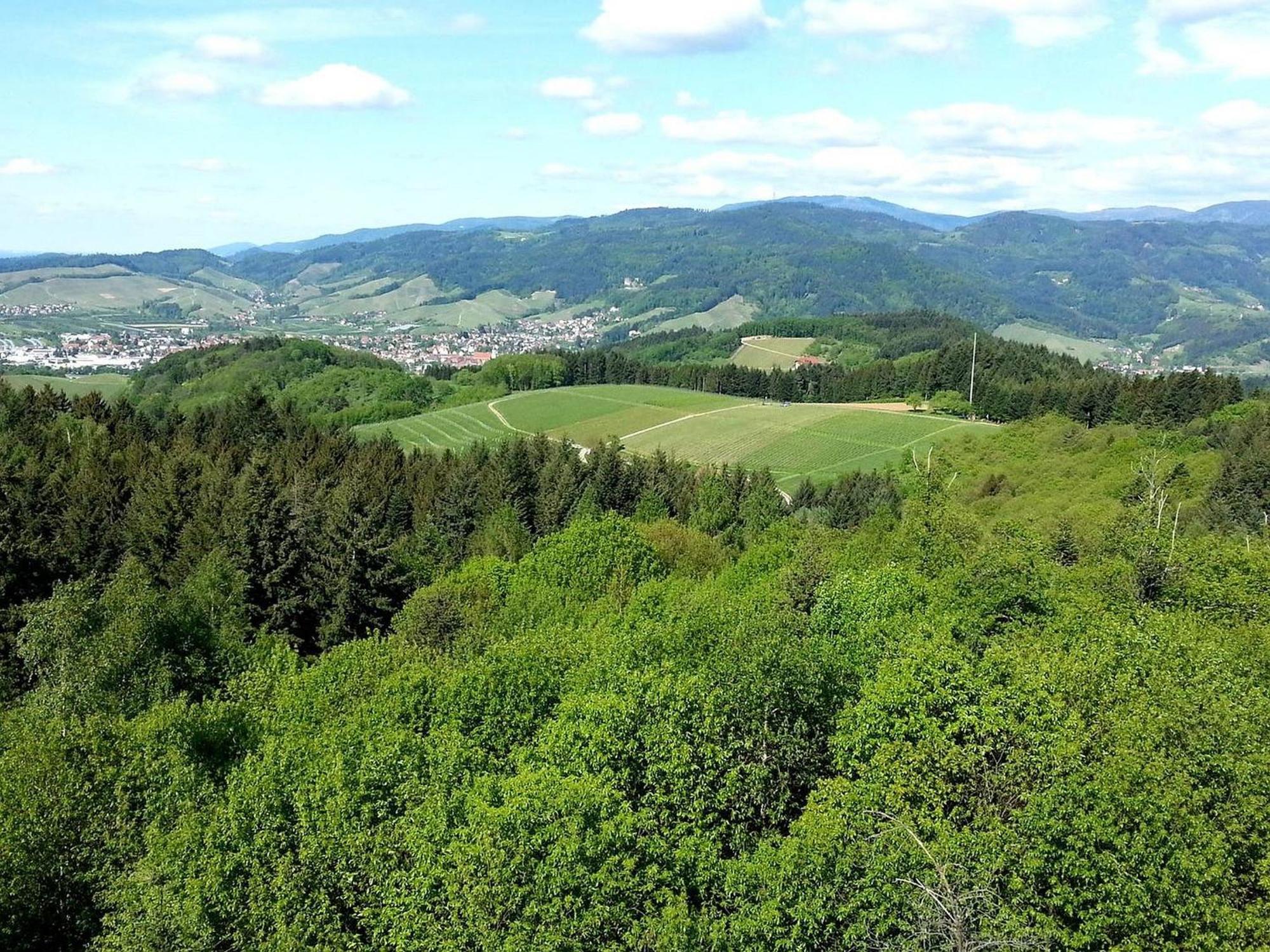 Ferienhof Vordere Alm Oberkirch (Baden) Exterior foto