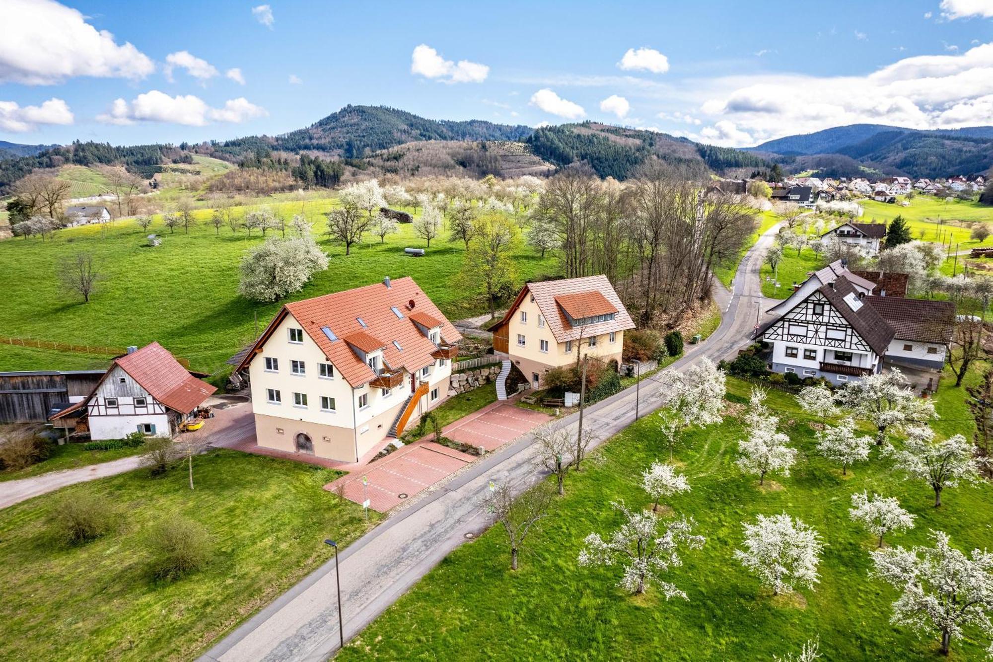 Ferienhof Vordere Alm Oberkirch (Baden) Exterior foto