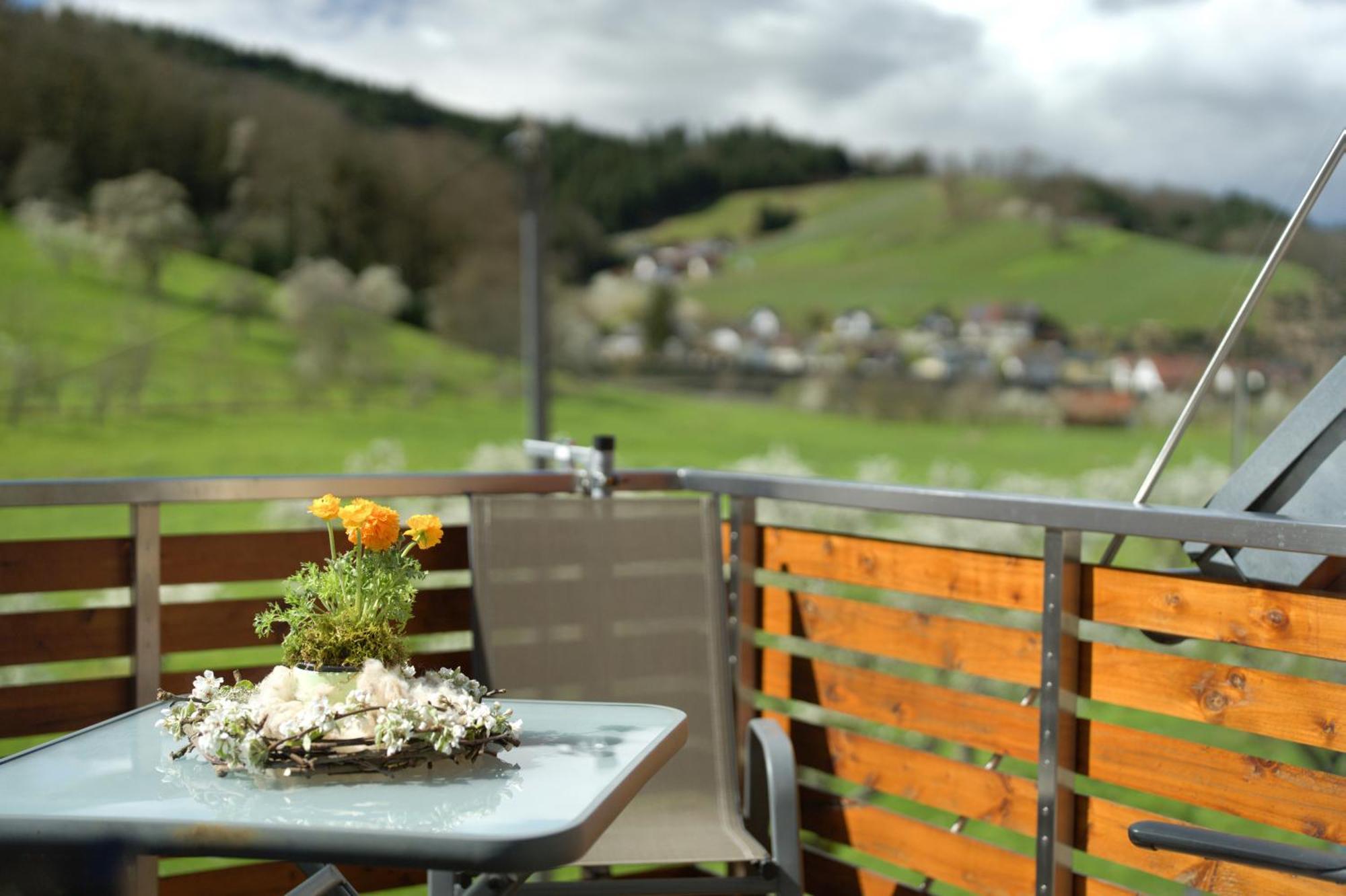 Ferienhof Vordere Alm Oberkirch (Baden) Exterior foto
