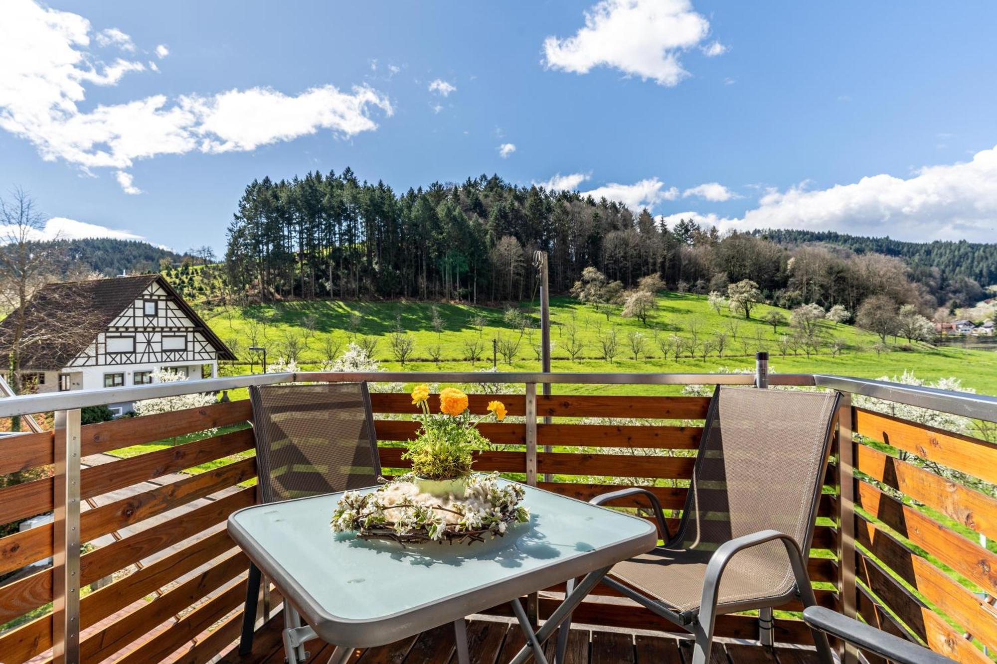Ferienhof Vordere Alm Oberkirch (Baden) Exterior foto
