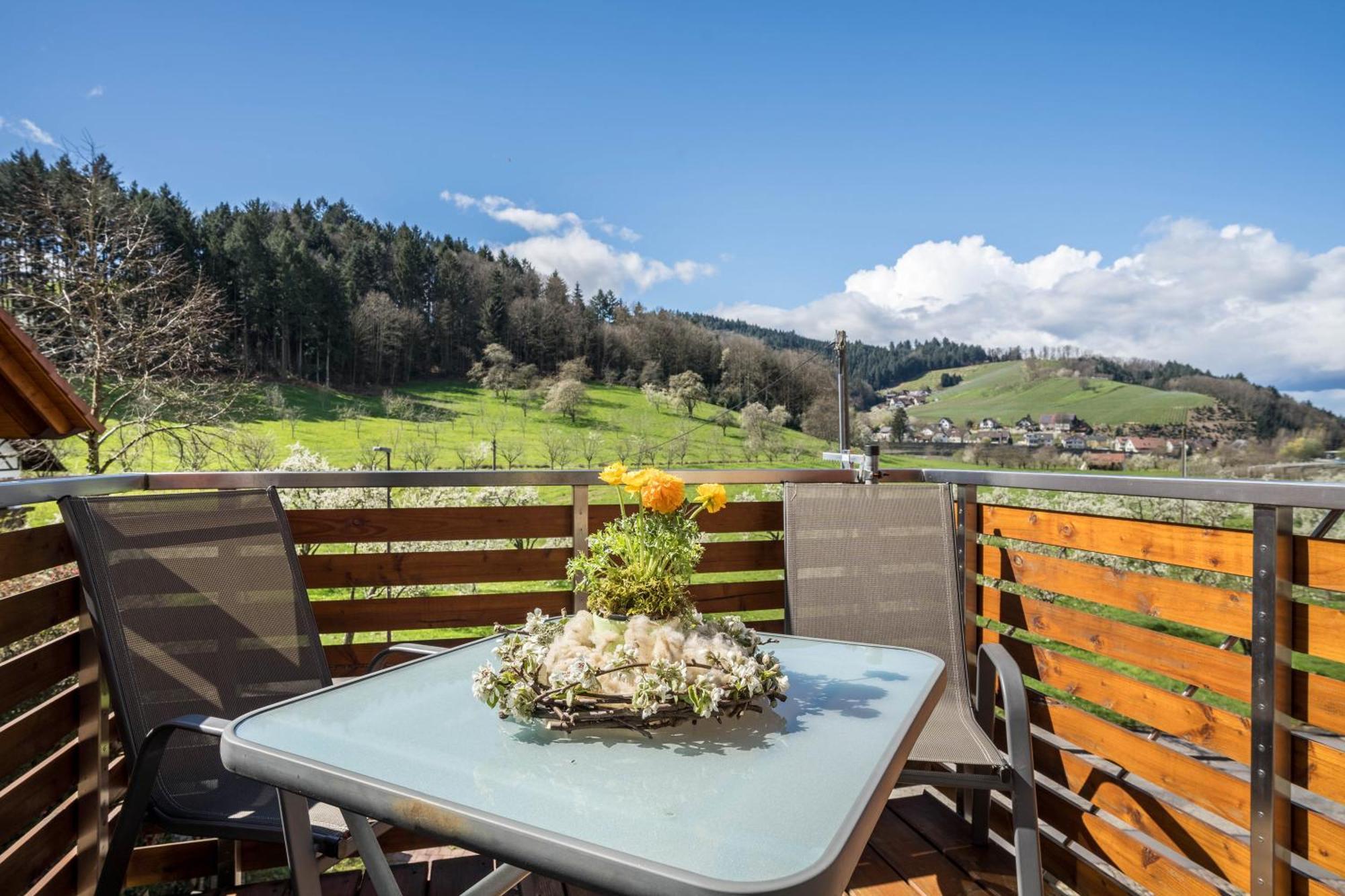 Ferienhof Vordere Alm Oberkirch (Baden) Exterior foto