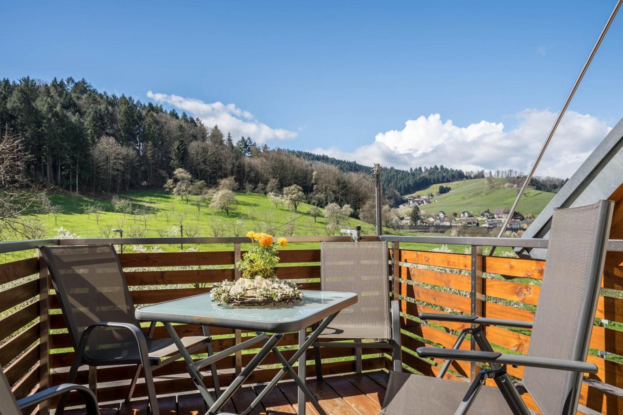 Ferienhof Vordere Alm Oberkirch (Baden) Exterior foto